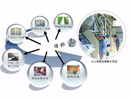 听说苹果不能吃了 快试试这4种方法